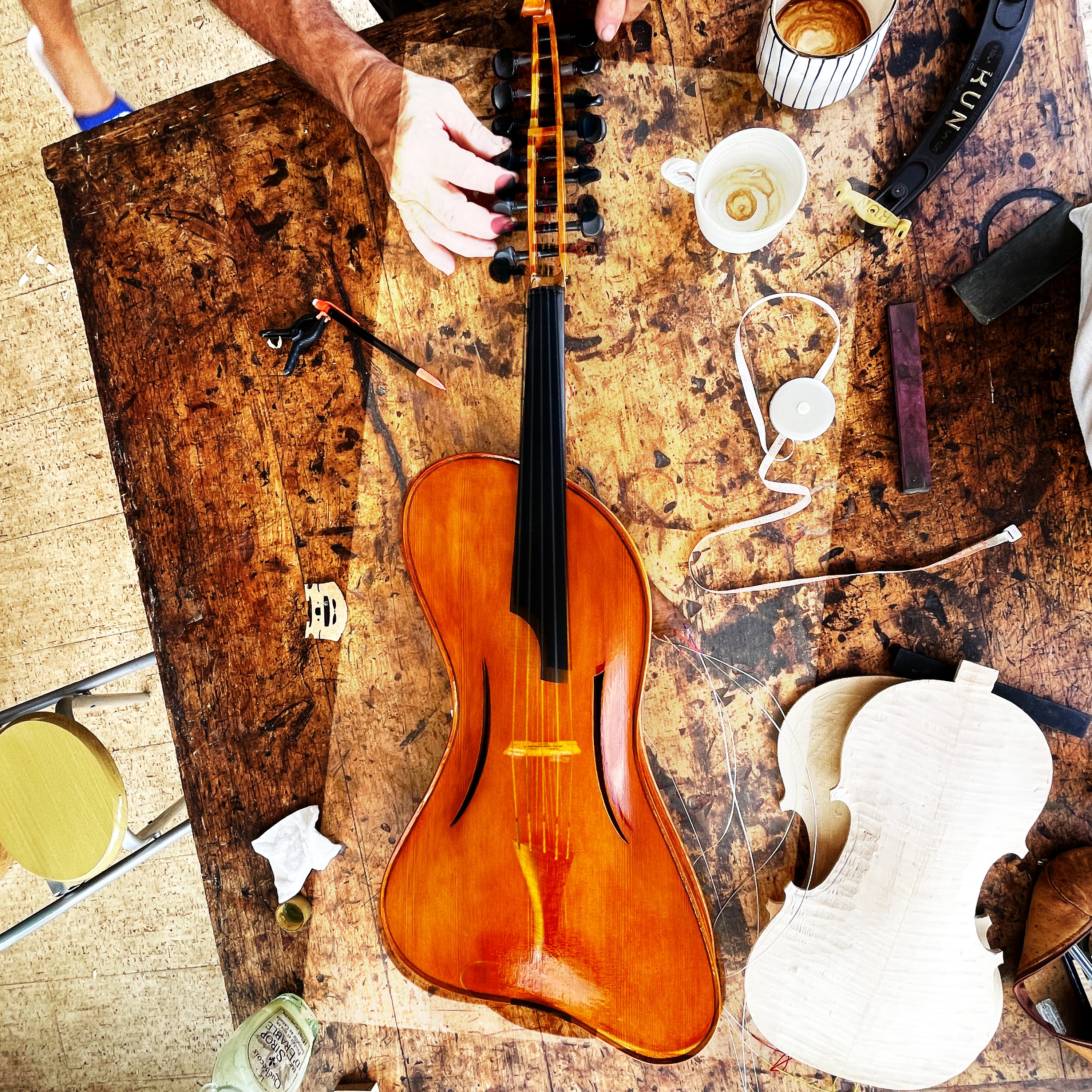 Tenore d’amore instrument in the workshop